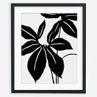 Living Pattern Framed Print - Xanthosoma Wendla
