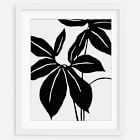 Living Pattern Framed Print - Xanthosoma Wendla