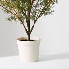 Pre-Lit Faux Potted Juniper Tabletop Tree