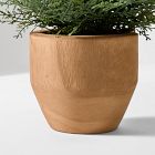 Faux Potted Pine Tabletop Tree