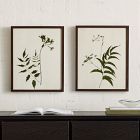 Foraged Wall Art by Minted for West Elm