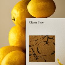 Citrus Pine Homescent Collection
