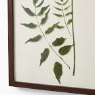 Foraged Wall Art by Minted for West Elm
