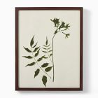 Foraged Wall Art by Minted for West Elm
