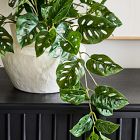 Faux Potted Trailing Monstera Plant