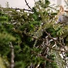 Pre-Lit Faux Mixed Pine Garland