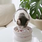 Catenary Halo Tempo Pet Bowl