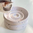 Catenary Halo Tempo Pet Bowl