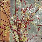 Faux Pepperberry Branch