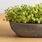 Faux Potted Baby's Breath w/ Planter