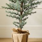 Pre-Lit Faux Blue Spruce Tree w/ Burlap Base