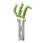 Glass Stripe Vases