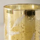 Evergreen Etched Glass Filled Candles - Sage &amp; Cedar