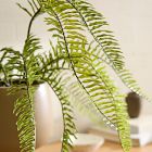 Faux Potted Long Drippy Plant