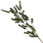 Faux Spruce Branch