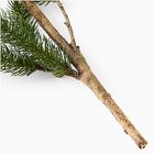 Faux Spruce Branch
