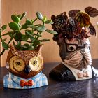 Dapper Animal Planters