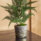 Faux Juniper Tree