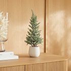 Faux Glittered Pine Tree w/ Ceramic Planter