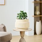 Faux Potted Jade Plant