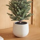 Faux Glittered Pine Tree w/ Ceramic Planter
