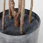 Faux Potted Australian Bottleneck Tree