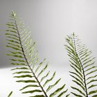 Faux Potted Long Drippy Plant