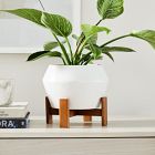 Ilya Turned Wood Planters