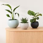 Organic Ceramic Tabletop Planters
