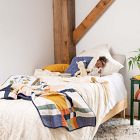 Anchal Project Small Graph Throw Pillow