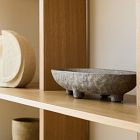 Form Studies Collection