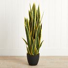 Faux Potted Sansevieria Plant