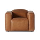 Delevan Leather Power Recliner