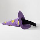Witch Hat Treat Bag
