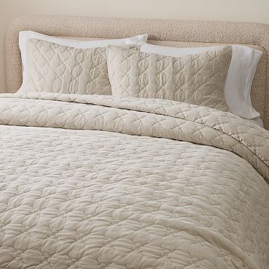 Embroidered Washed Velvet Shams