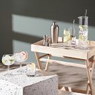 Gin Cocktail Jug &amp; Stirrer