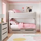 Desert Cactus Shag Rug