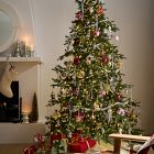 Modern Bottlebrush Star Ornaments