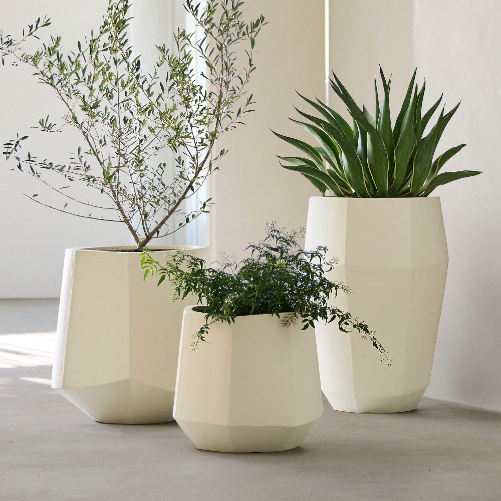 West Elm Indoor Planters