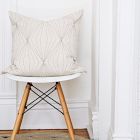 Anchal Project Prism Pillow