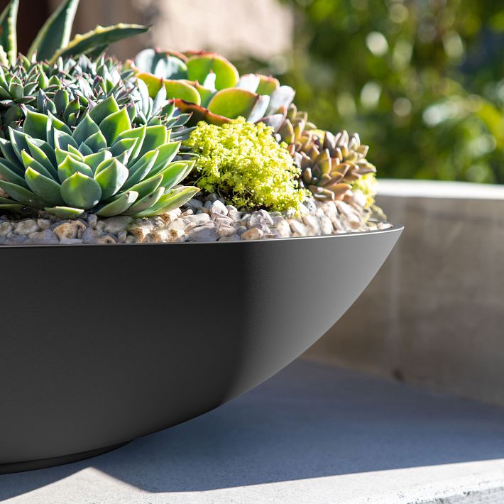 Veradek Lane Indoor/Outdoor Bowl Planter | West Elm