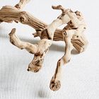Natural Grapewood Branch