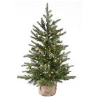 Pre-Lit Faux Nordic Spruce Tree - 3'