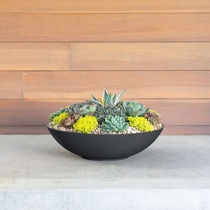 Veradek Lane Indoor/Outdoor Bowl Planter | West Elm
