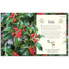 An Anthology of Christmas