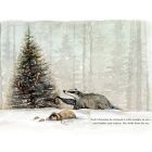 Our Little Adventure at Christmas