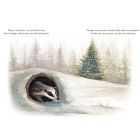 Our Little Adventure at Christmas