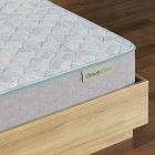 BeautySleep by Beautyrest® Slumberscape Mattress