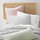Cane Wall-Mounted Twin Headboard