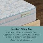 BeautySleep by Beautyrest® Slumberscape Mattress